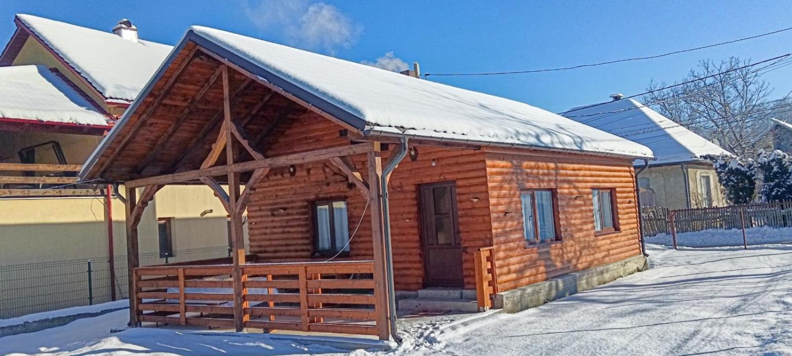 Casuta Adelina Borsa Vila Exterior foto
